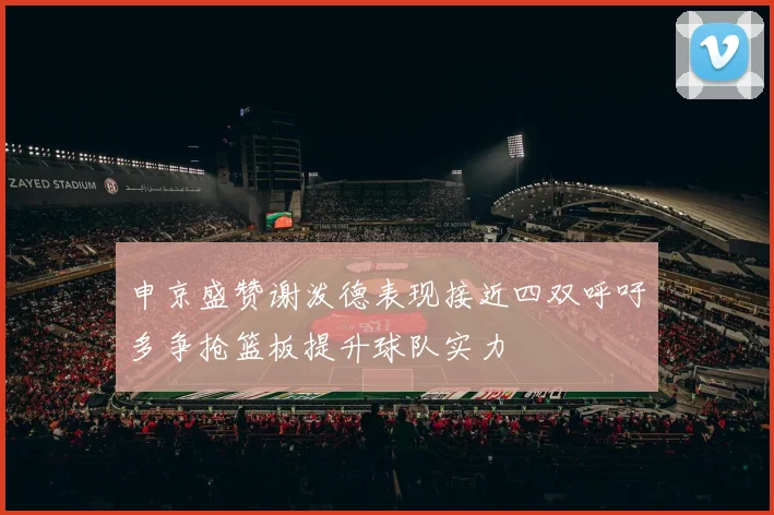 申京盛赞谢泼德表现接近四双呼吁多争抢篮板提升球队实力