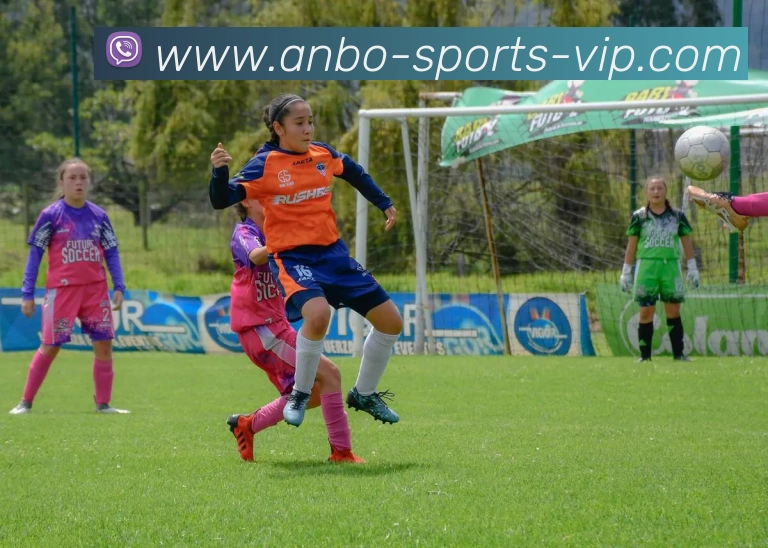 安博体育APP 体育赛事宣传图